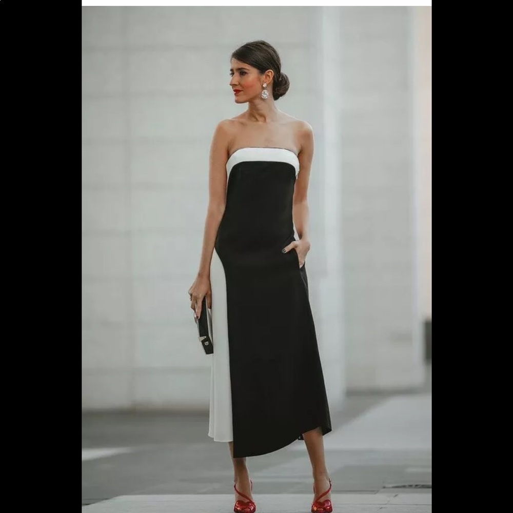 ZARA NWT limited edition wool blend dress size S